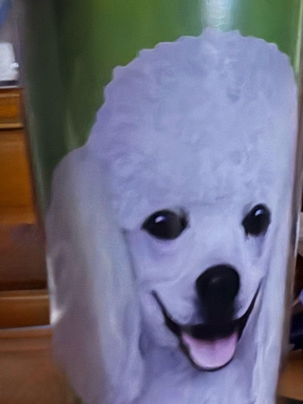 White Poodle Dog Travel Mug - Green Background